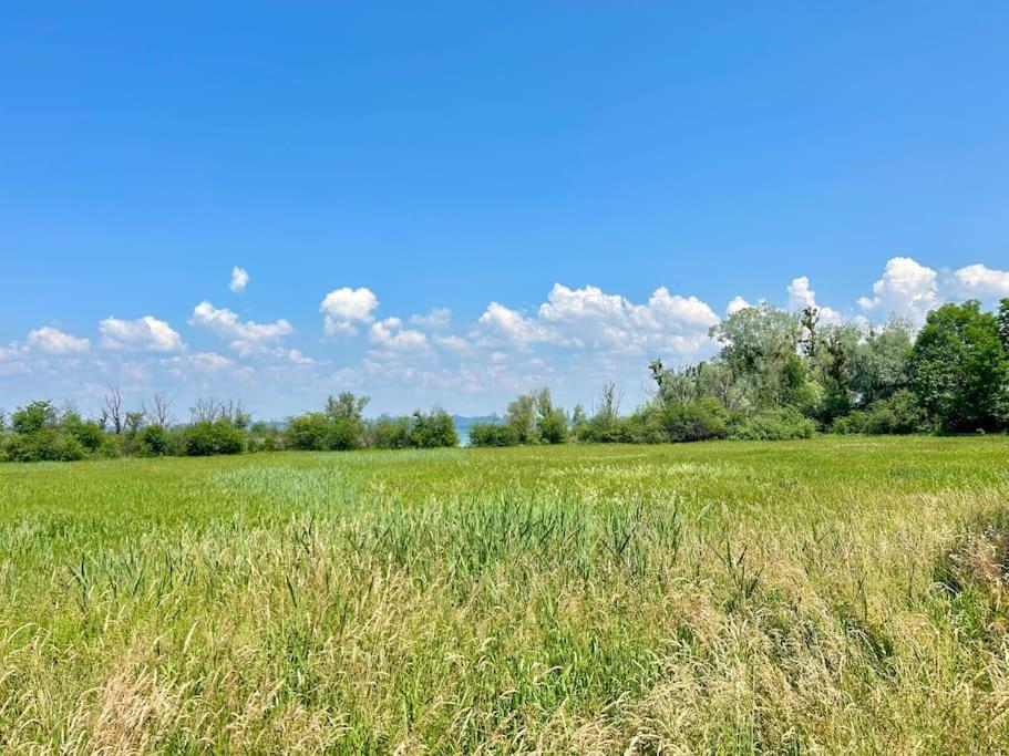 Seeparkvilla - Wohlfuehlen Am See Und Im Gruenen Bregenz Dış mekan fotoğraf