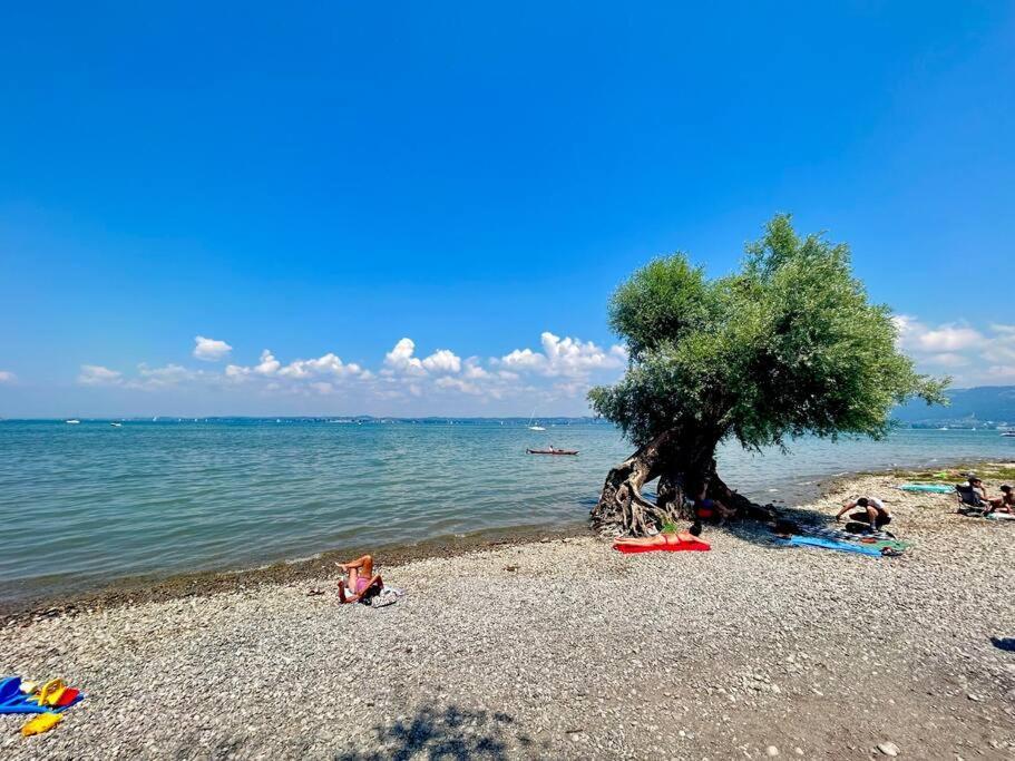 Seeparkvilla - Wohlfuehlen Am See Und Im Gruenen Bregenz Dış mekan fotoğraf
