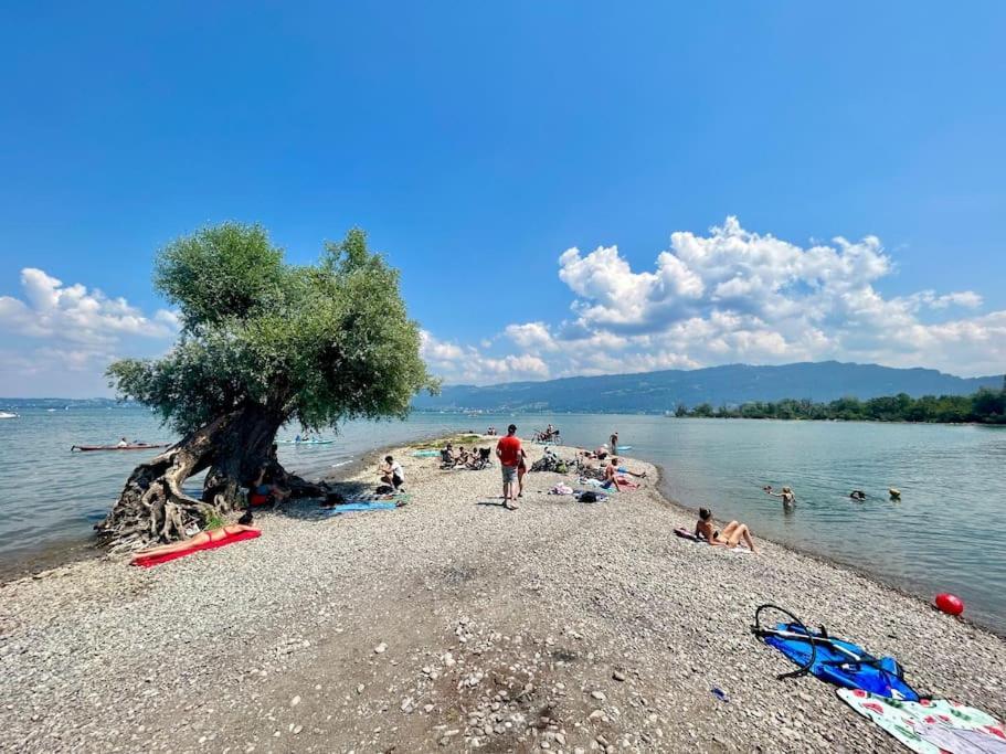 Seeparkvilla - Wohlfuehlen Am See Und Im Gruenen Bregenz Dış mekan fotoğraf